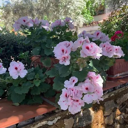 Holiday home Casa Cactus In The Heart Of The Montes De